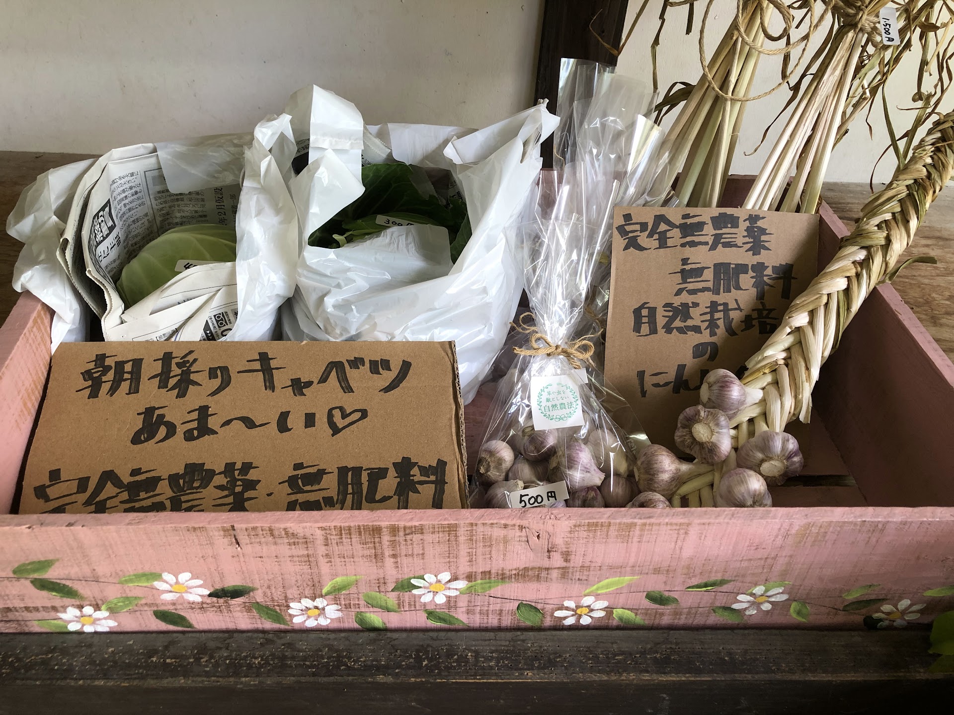 朝採りキャベツと自然栽培のにんにく