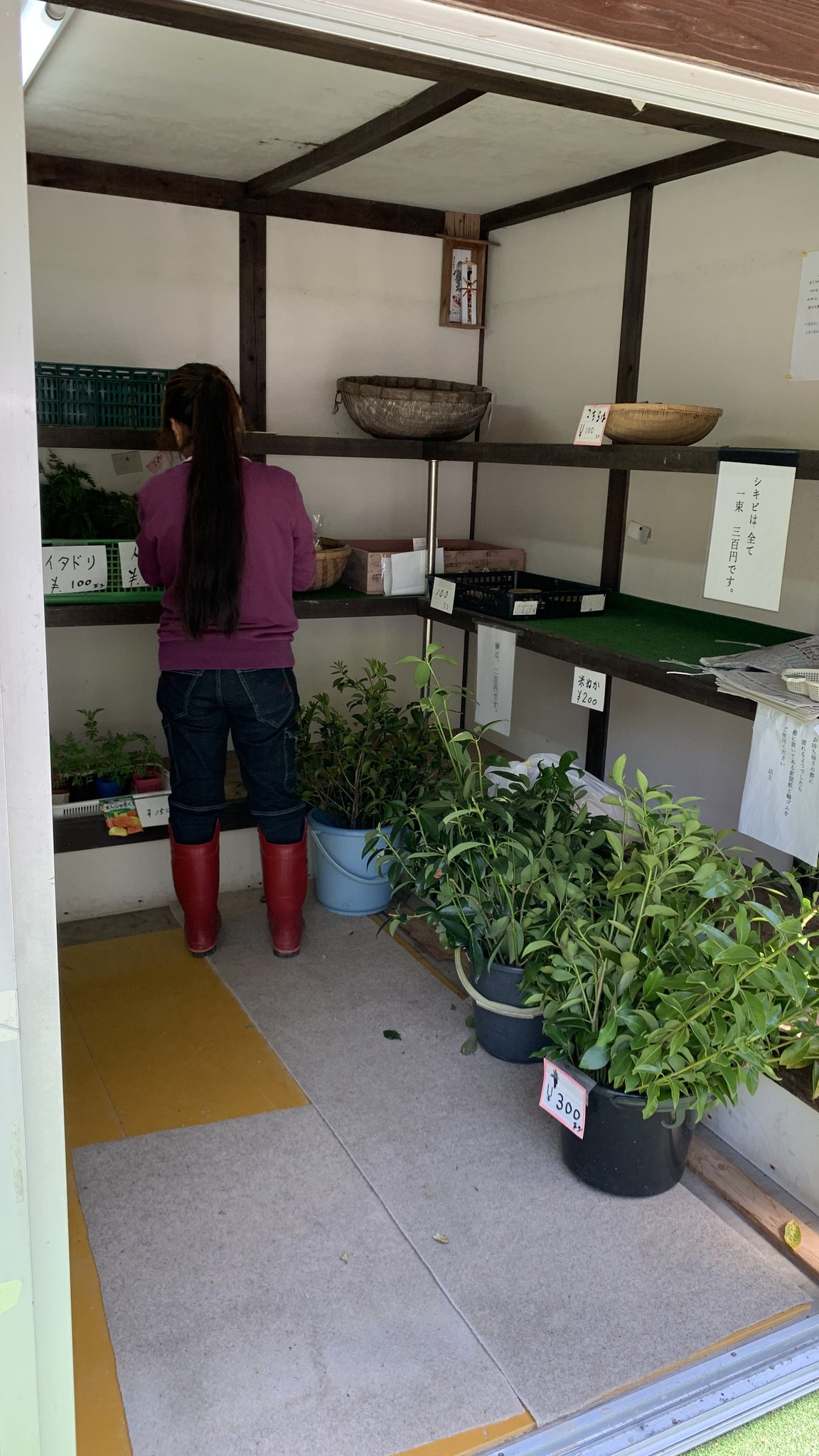 直売所の店内。棚に野菜や苗が並ぶ