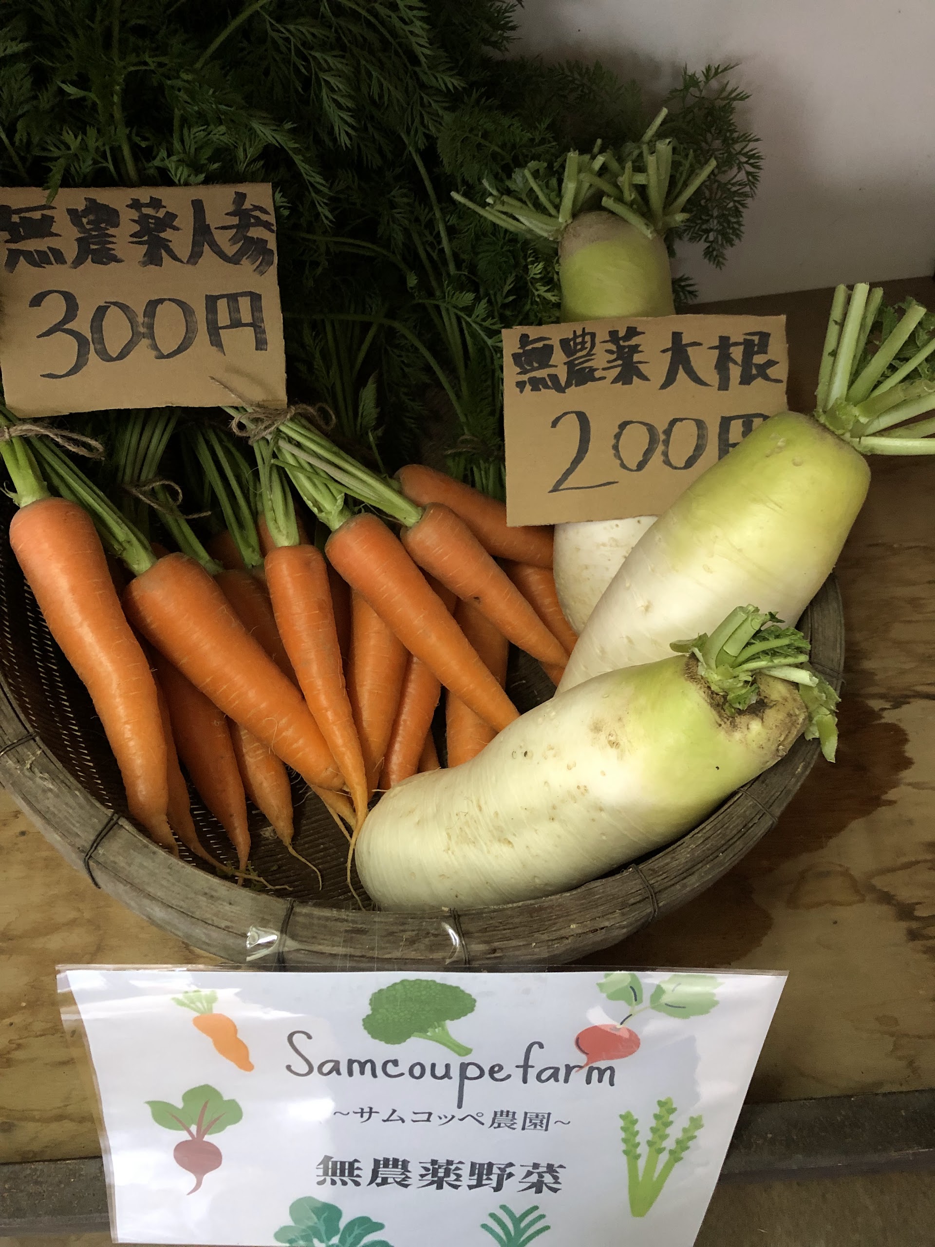 かごに盛られた無農薬の人参と大根